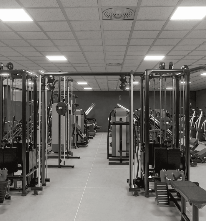 PROYECTO. GYM
